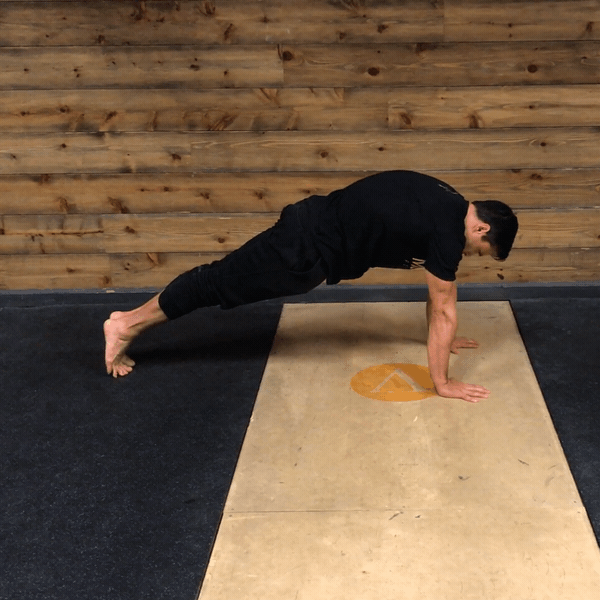 Bild Standard-Pushup